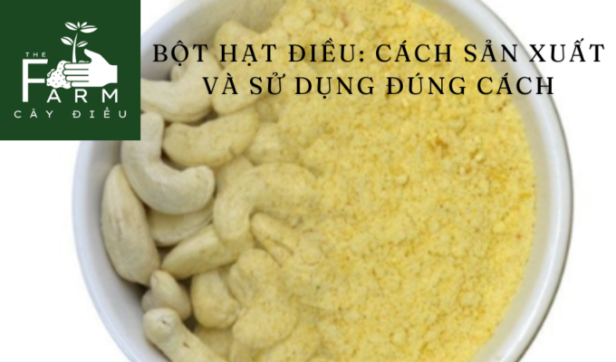 Bột hạt điều: Cách sản xuất và sử dụng đúng cách