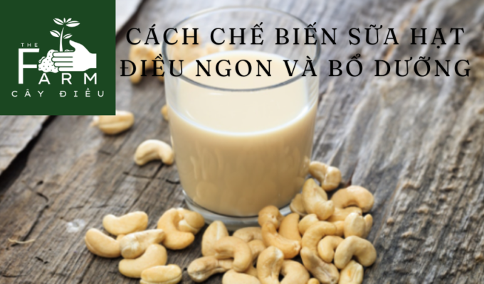 Cách chế biến sữa hạt điều ngon và bổ dưỡng