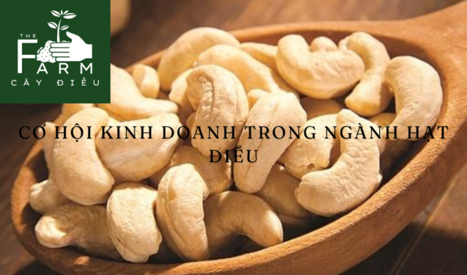 Cơ hội kinh doanh trong ngành hạt điều: Tìm hiểu nguồn lợi nhuận từ ngành công nghiệp này