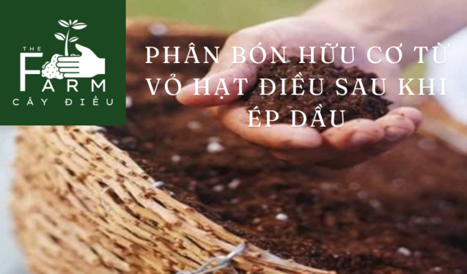 Phân bón hữu cơ từ vỏ hạt điều sau khi ép dầu